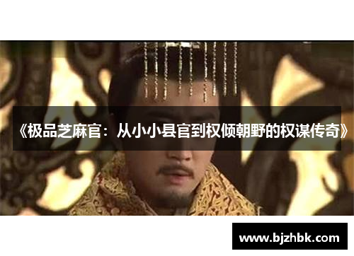 《极品芝麻官：从小小县官到权倾朝野的权谋传奇》