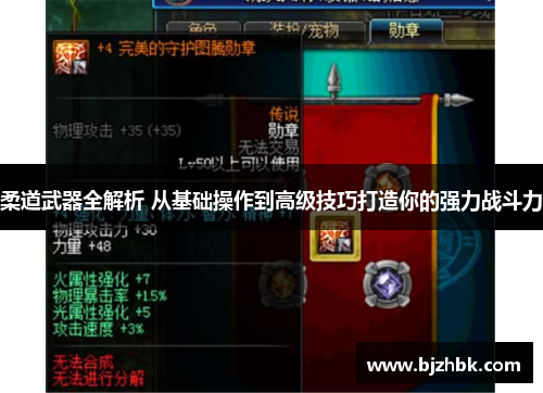 柔道武器全解析 从基础操作到高级技巧打造你的强力战斗力